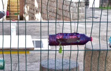 [Semaine des sciences] Les jardins suspendus des 6èmes 6