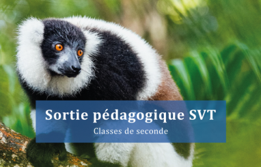 Comprendre les enjeux de la biodiversité : Plongée au cœur du Lemur’s Park
