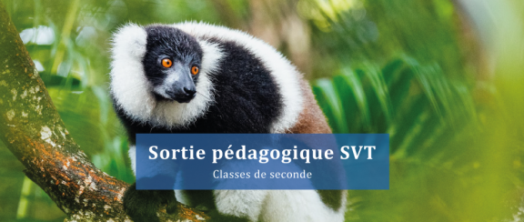 sortie-pédag-svt-lemurs-park