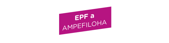 titre-epfa titre-epfa