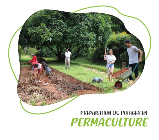 illustration-permaculture