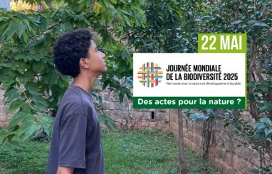 22 mai : Journée mondiale de la biodiversité