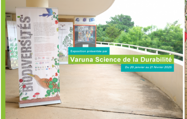 [Expo] Biodiversités